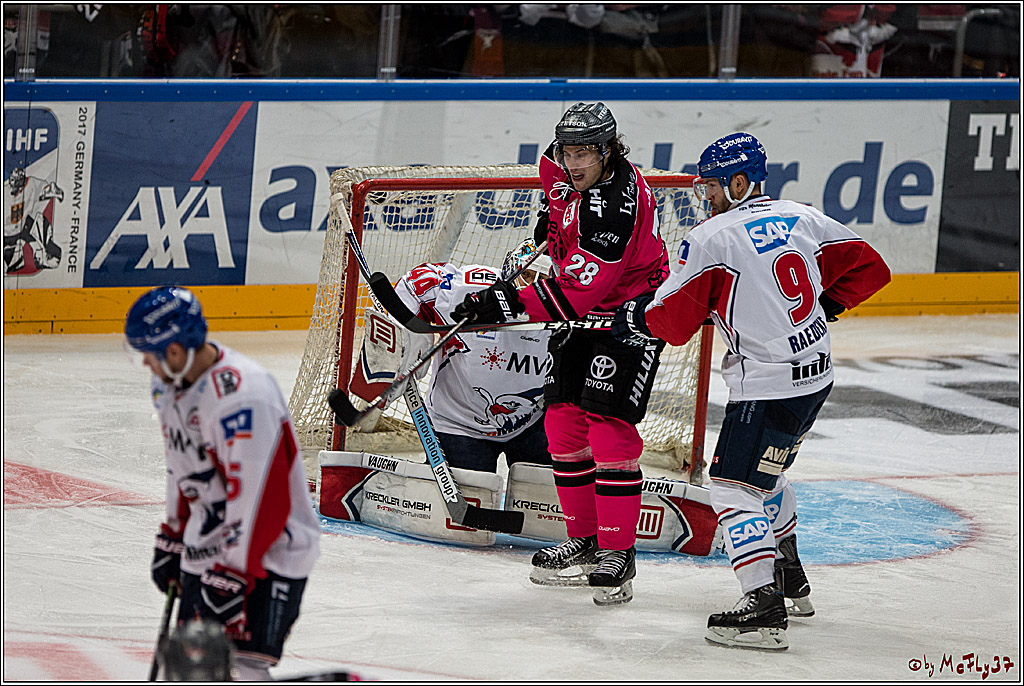 Koelner Haie - Adler Mannheim, 30.10.2016